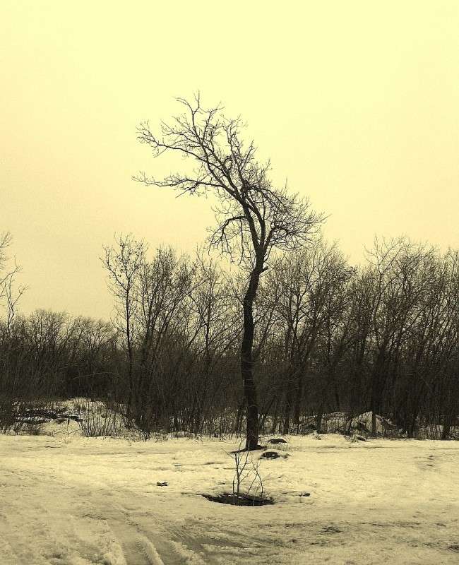 ... ����� Natali  ��������� �� PhotoGeek.ru #������ ��� ������� #����� ��������������