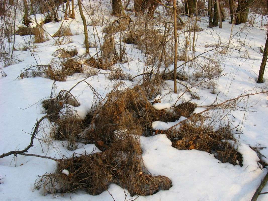 ������������ �����...) ����� Natali  ��������� �� PhotoGeek.ru #������ ��� ������� #����� ��������������