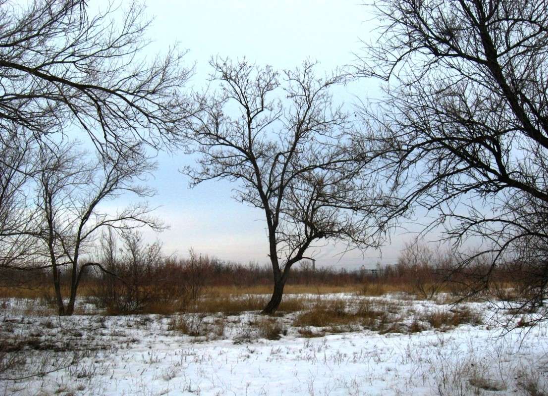 ... ����� Natali  ��������� �� PhotoGeek.ru #������ ��� ������� #����� ��������������