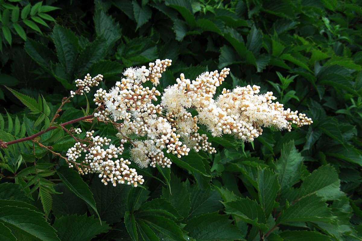 �������� ������������ ����� Natali  ��������� �� PhotoGeek.ru #������ ��� ������� #����� ��������������