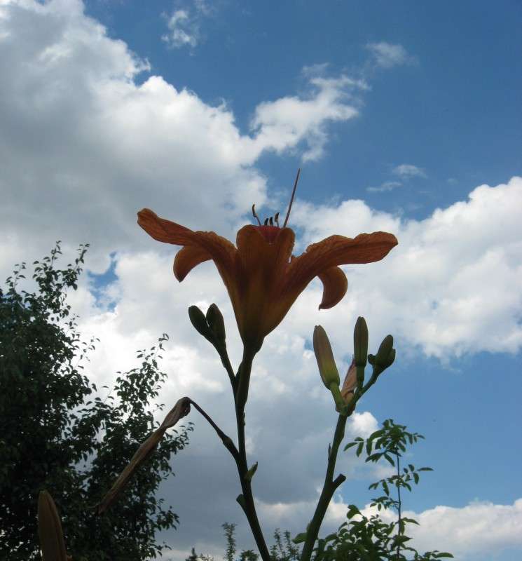 � ����... ����� Natali  ��������� �� PhotoGeek.ru #������ ��� ������� #����� ��������������