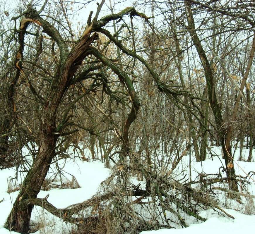 ��������� ����� Natali  ��������� �� PhotoGeek.ru #������ ��� ������� #����� ��������������