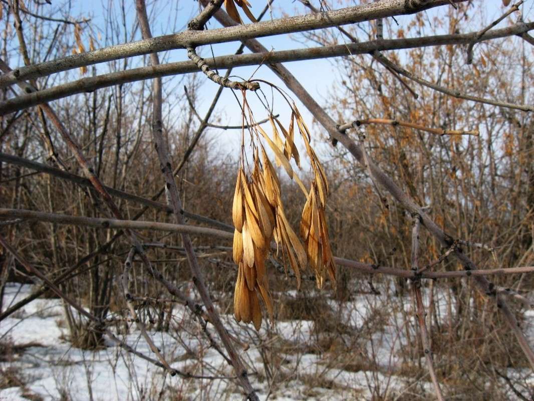 ... ����� Natali  ��������� �� PhotoGeek.ru #������ ��� ������� #����� ��������������