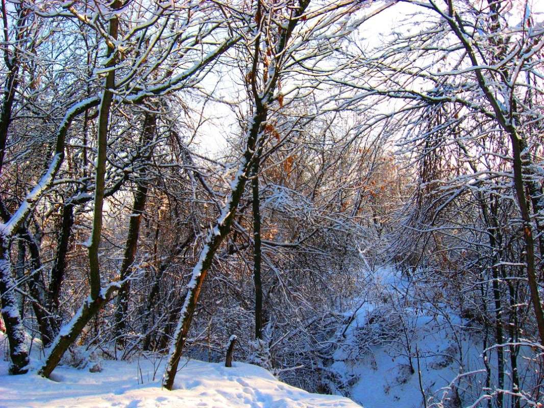 ������ ���� ������ ����� Natali  ��������� �� PhotoGeek.ru #������ ��� ������� #����� ��������������