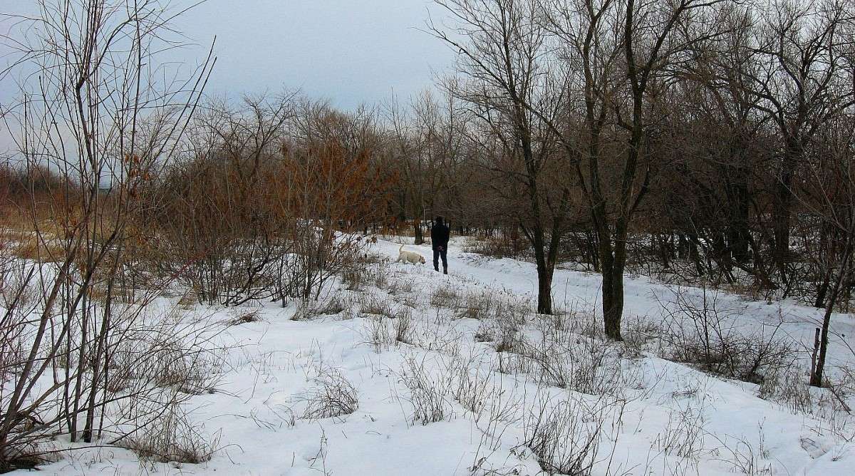 ������������ �����...2 ����� Natali  ��������� �� PhotoGeek.ru #������ ��� ������� #�������� ����������