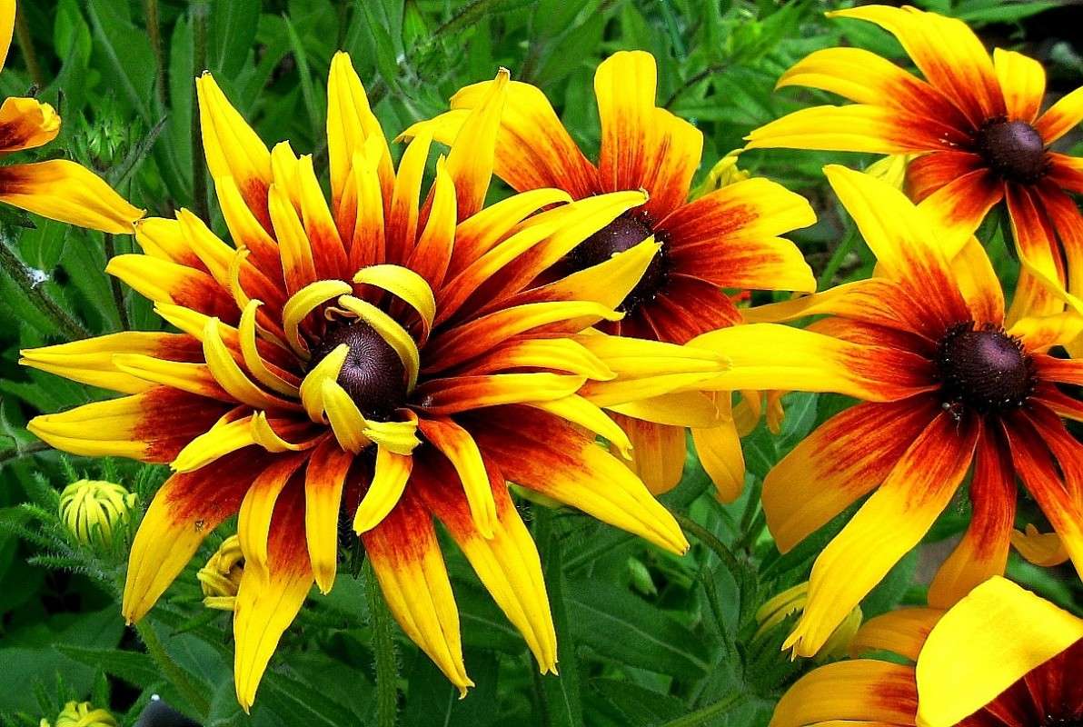 ������ �� ����...) ����� Natali  ��������� �� PhotoGeek.ru #������ ��� ������� #����� ��������������