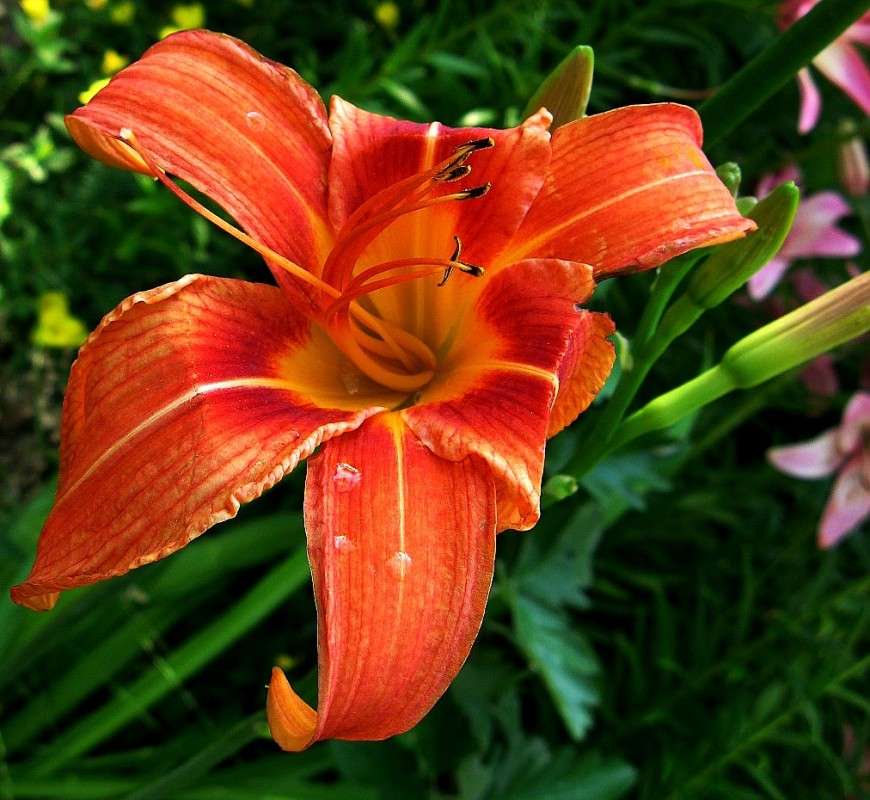 ... ����� Natali  ��������� �� PhotoGeek.ru #������ ��� ������� #����� ��������������