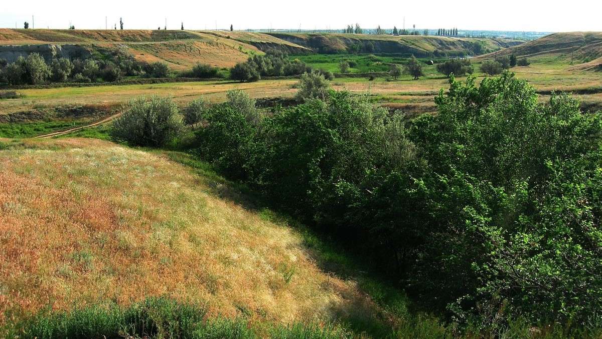 ������ ��� ����� Natali  ��������� �� PhotoGeek.ru #������ ��� ������� #����� ��������������