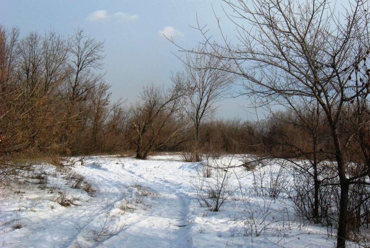 ������� ����� Natali  ��������� �� PhotoGeek.ru #������ ��� �������