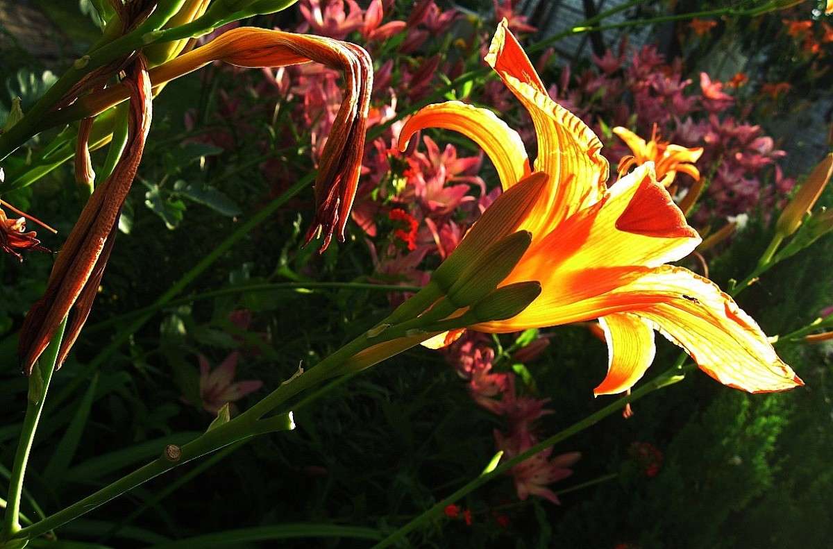 ���� ��������� ������... ����� Natali  ��������� �� PhotoGeek.ru #������ ��� ������� #����� ��������������