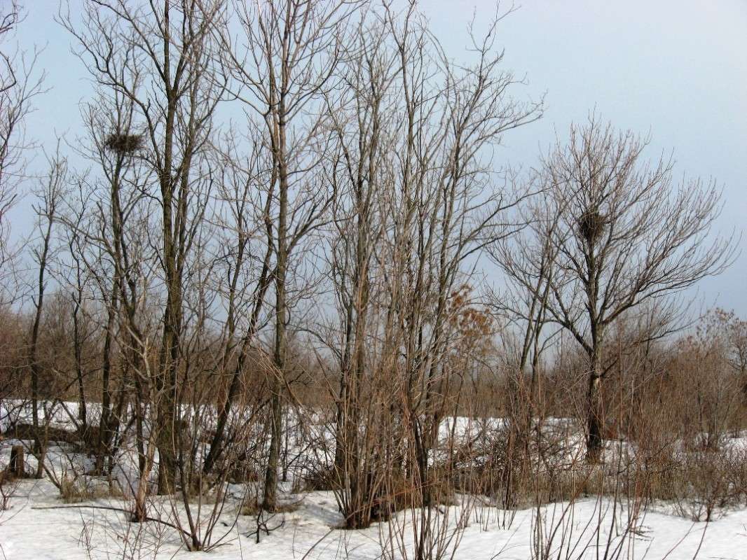 ��� ���� �������....) ����� Natali  ��������� �� PhotoGeek.ru #������ ��� ������� #����� ��������������