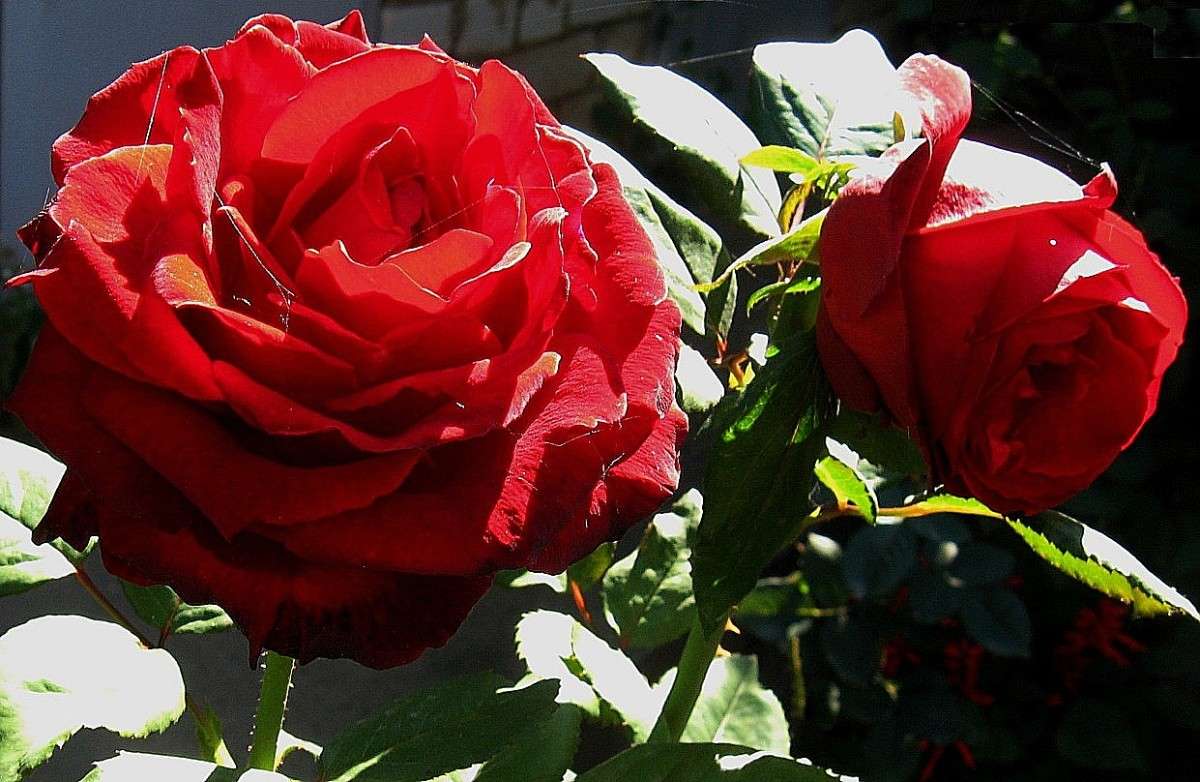 �� ������� ������ ����� Natali  ��������� �� PhotoGeek.ru #������ ��� ������� #����� ��������������