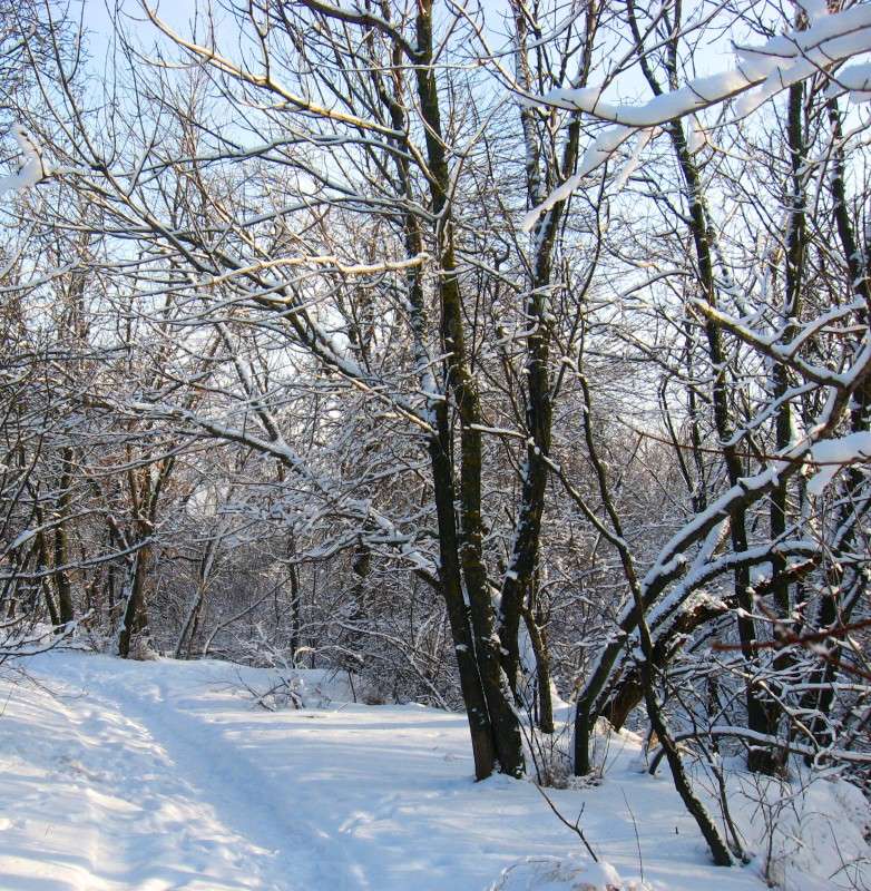 ������ ���� ����� Natali  ��������� �� PhotoGeek.ru #������ ��� ������� #����� ��������������