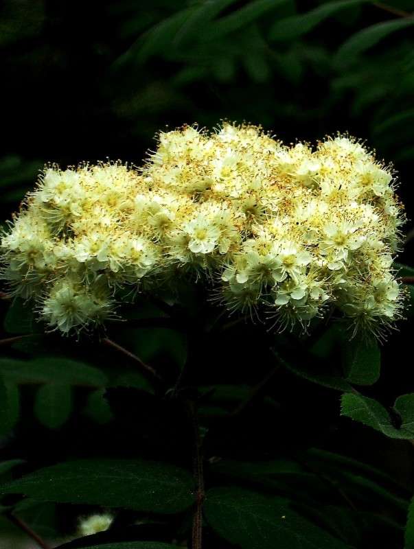 ... ����� Natali  ��������� �� PhotoGeek.ru #������ ��� ������� #����� ��������������