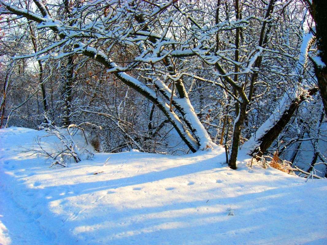 ������� ���������� ����� Natali  ��������� �� PhotoGeek.ru #������ ��� ������� #����� ��������������