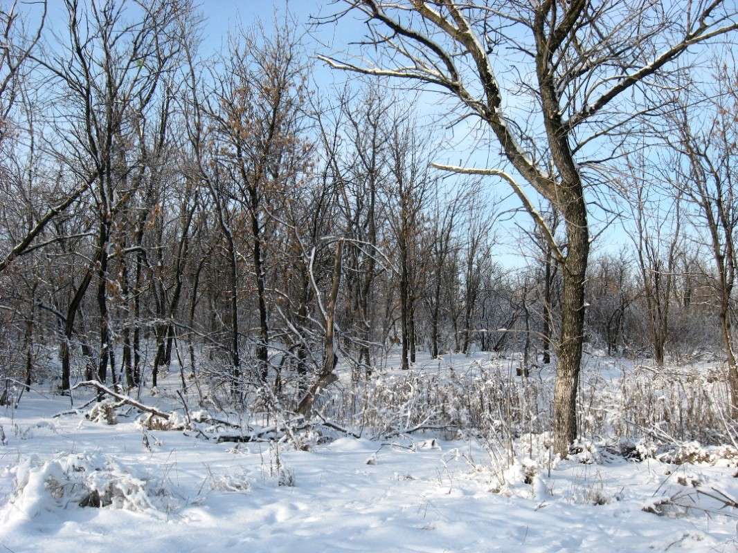 ������� ����������...2 ����� Natali  ��������� �� PhotoGeek.ru #������ ��� ������� #����� ��������������