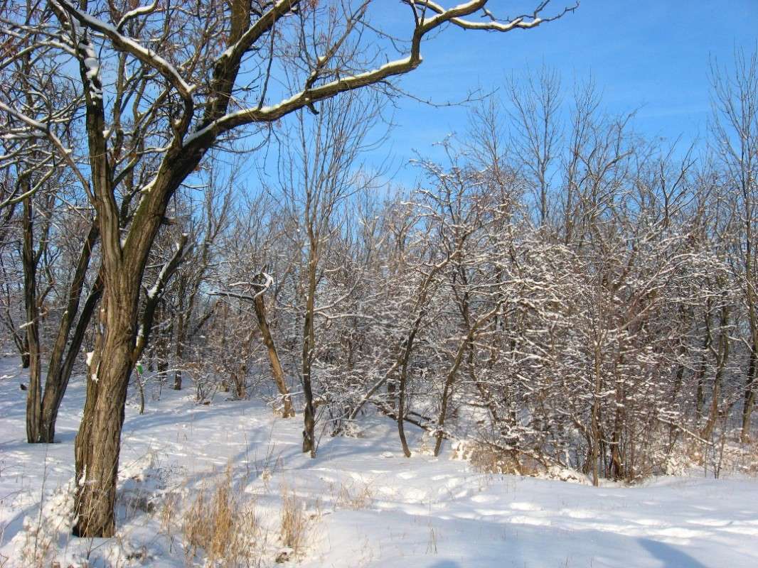 �������� ����������...3 ����� Natali  ��������� �� PhotoGeek.ru #������ ��� ������� #����� ��������������