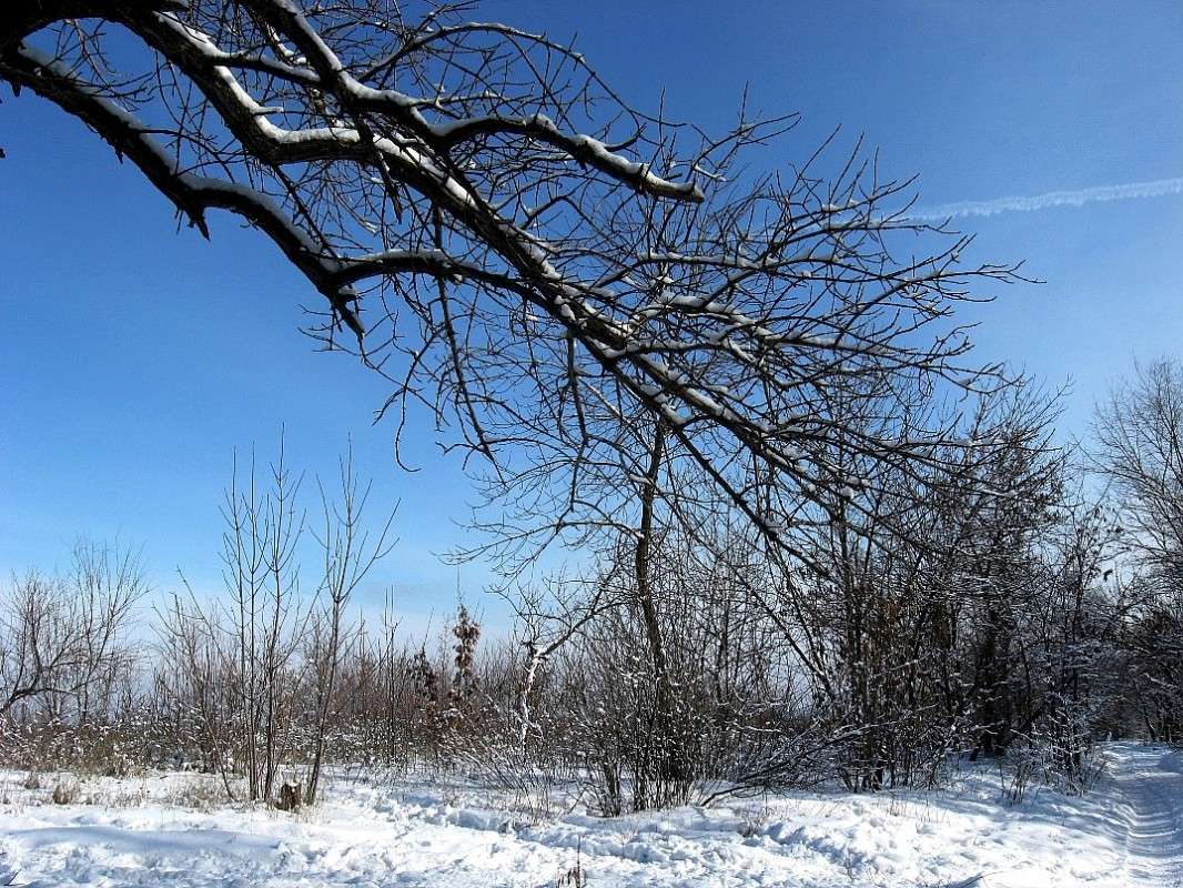 ��� ������ ����������....) ����� Natali  ��������� �� PhotoGeek.ru #������ ��� ������� #����� ��������������