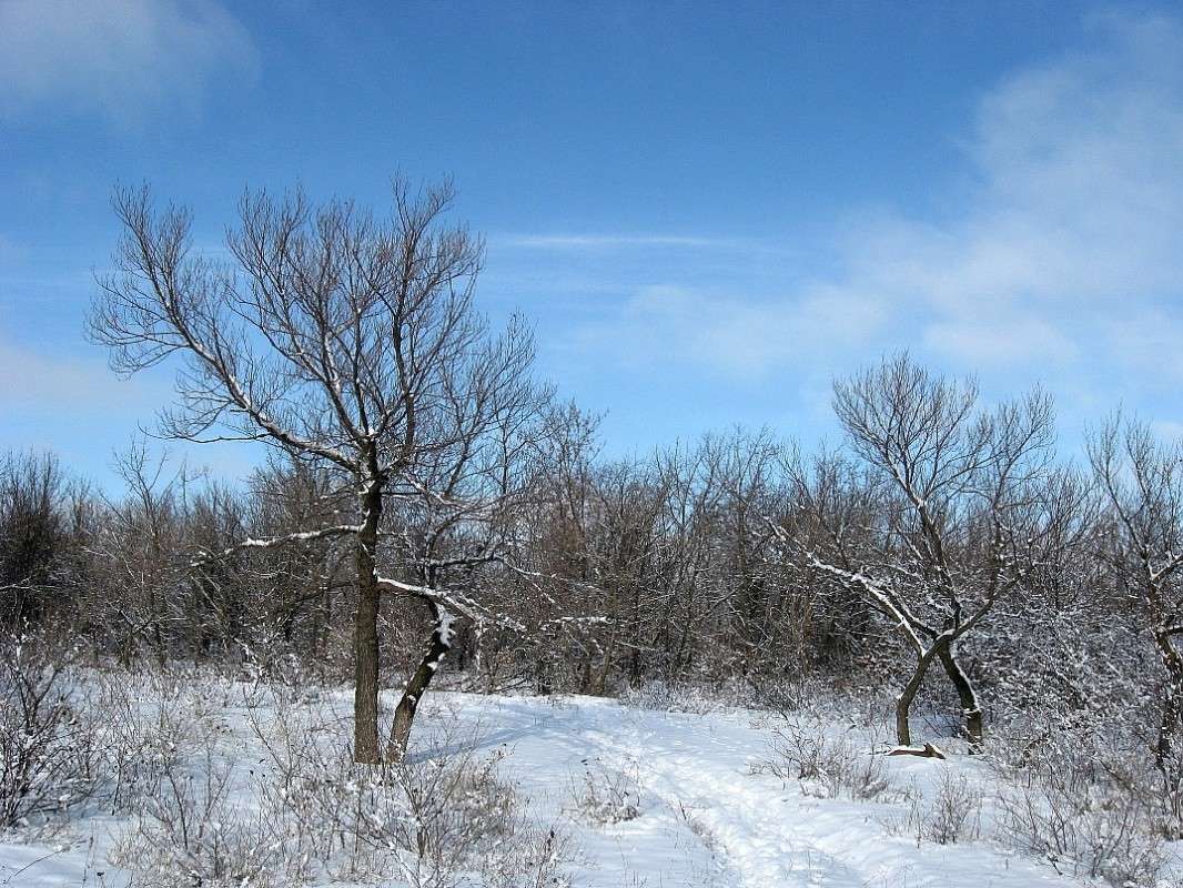 ������� ����� ) ����� Natali  ��������� �� PhotoGeek.ru #������ ��� ������� #����� ��������������