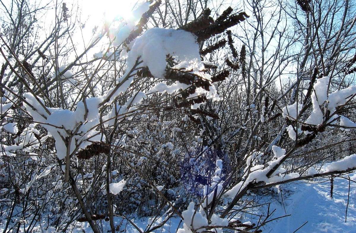 �� �������...) ����� Natali  ��������� �� PhotoGeek.ru #������ ��� ������� #����� ��������������