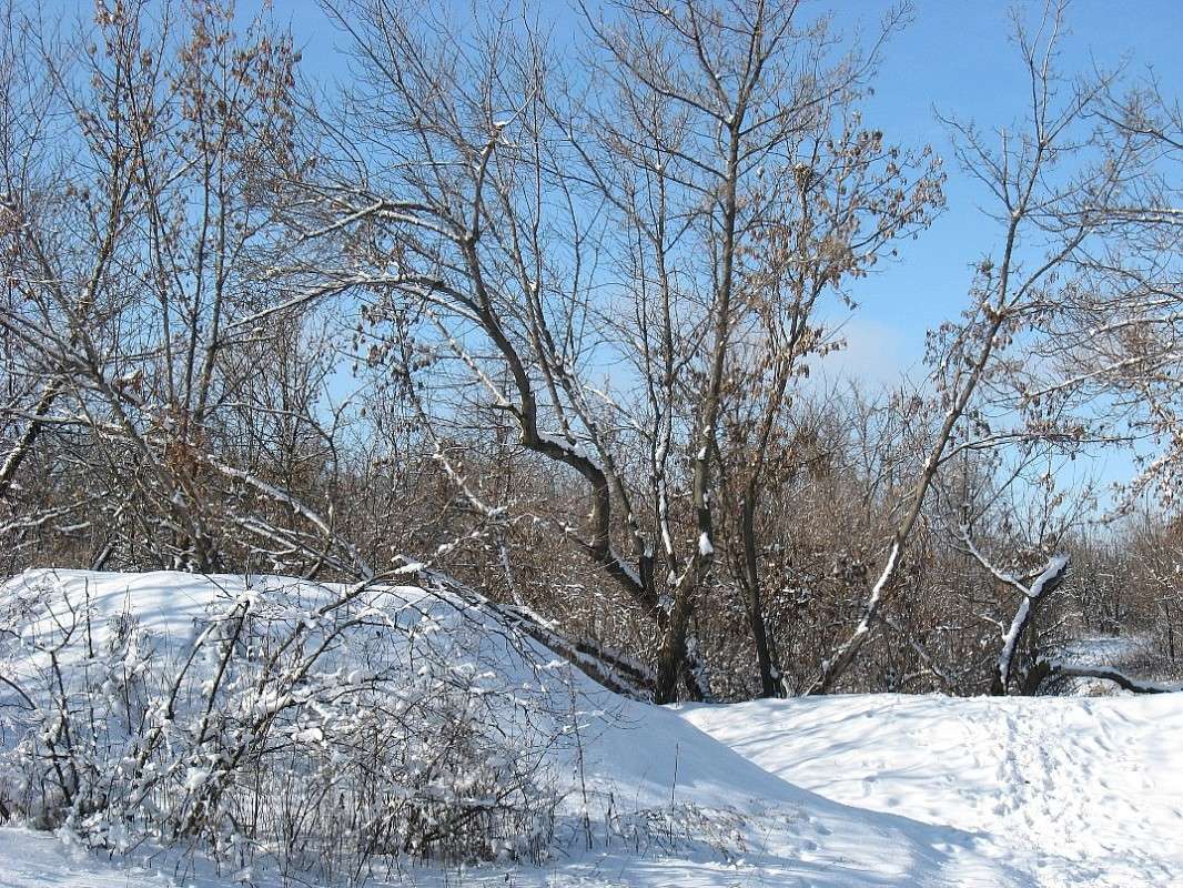 �������� ����� ����� ����....) ����� Natali  ��������� �� PhotoGeek.ru #������ ��� ������� #����� ��������������