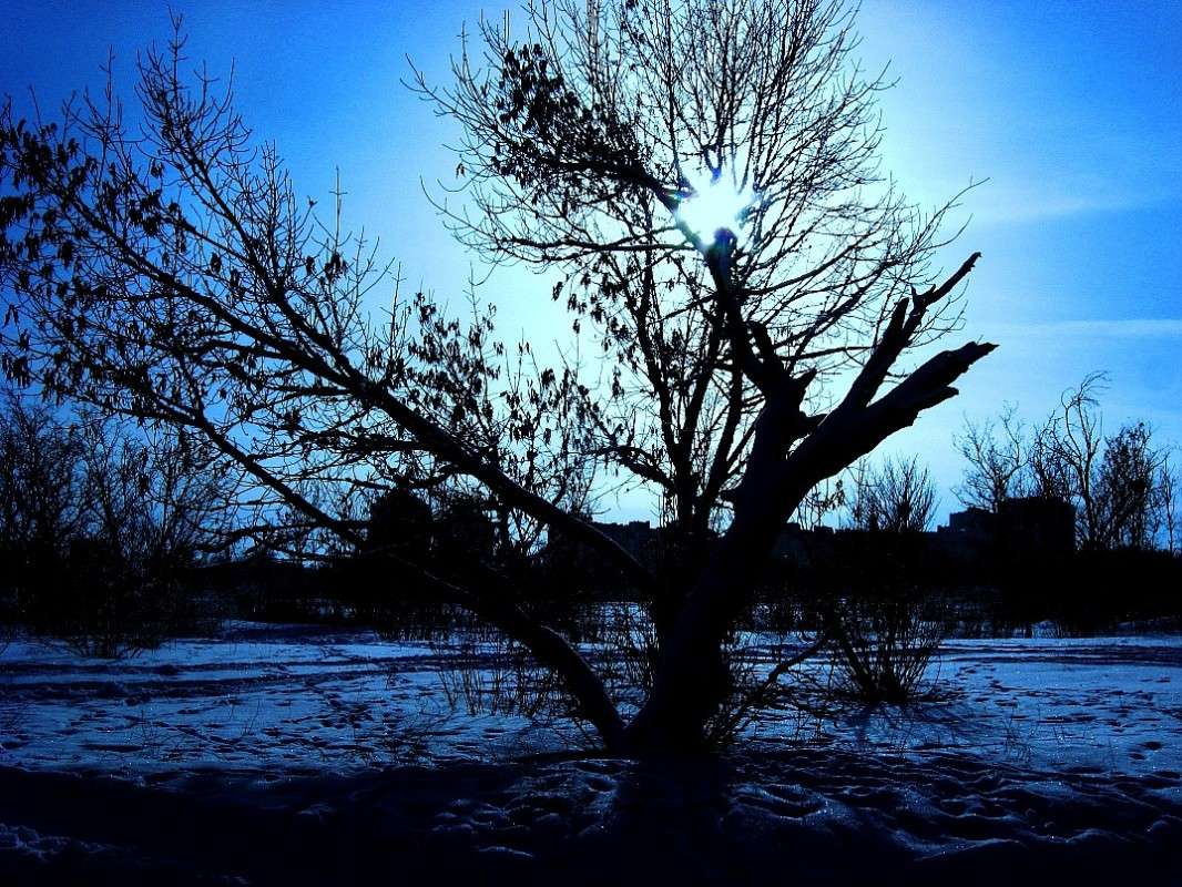 ������ ���� �� ������� ����� Natali  ��������� �� PhotoGeek.ru #������ ��� ������� #����� ��������������