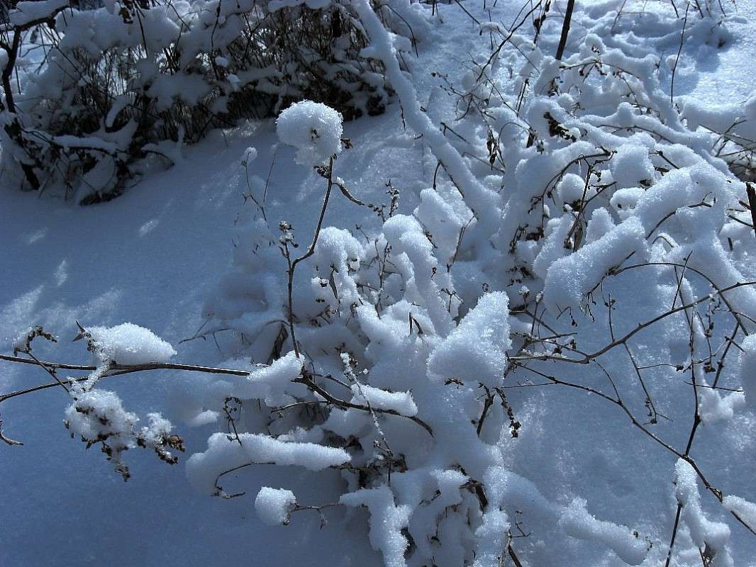 ��� ������� �������... ����� Natali  ��������� �� PhotoGeek.ru #������ ��� �������