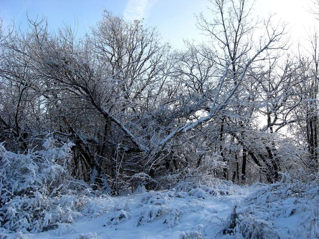 � ���� ������ ����� Natali  ��������� �� PhotoGeek.ru #������ ��� ������� #����� ��������������