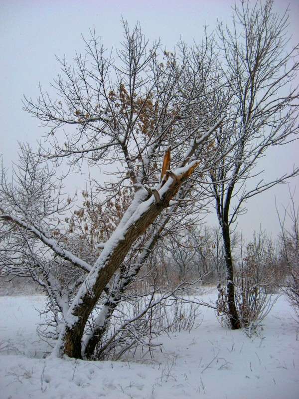 �� ������... ) ����� Natali  ��������� �� PhotoGeek.ru #������ ��� ������� #����� ��������