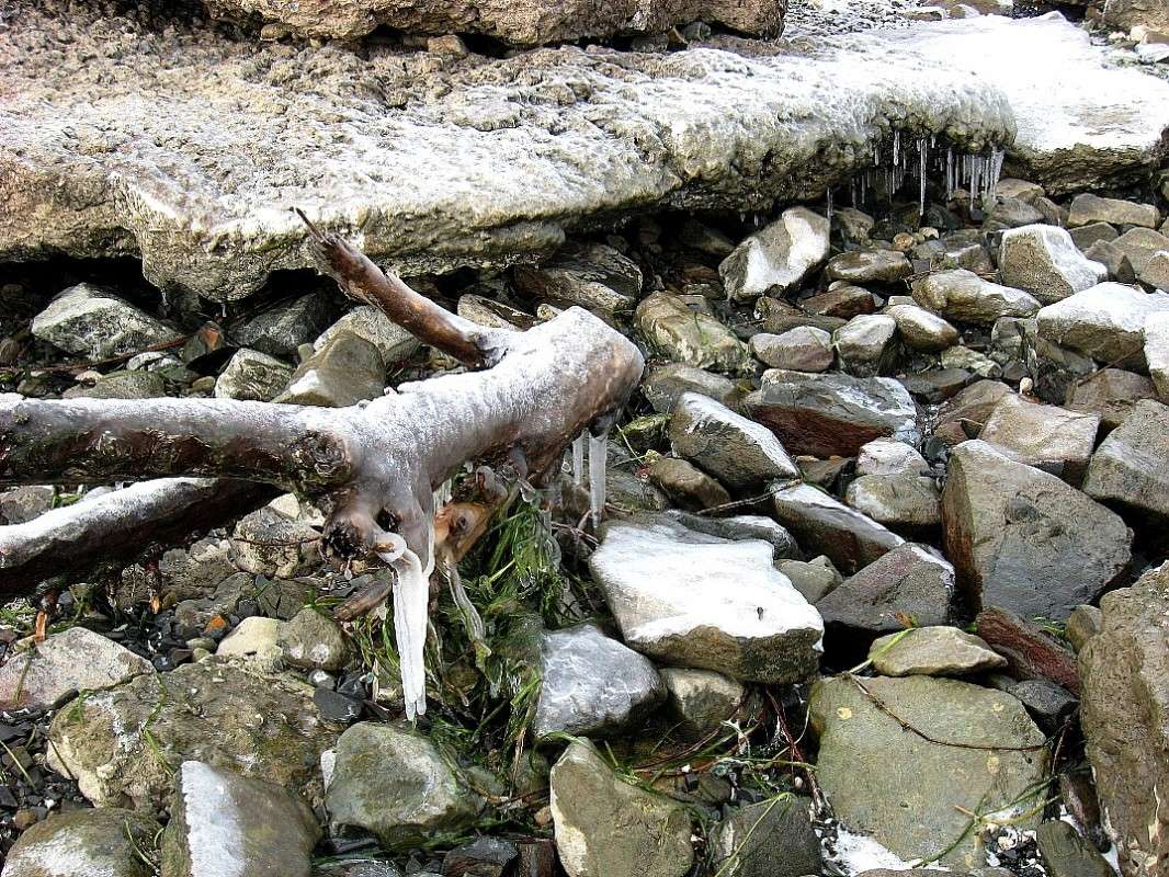 ����������...) ����� Natali  ��������� �� PhotoGeek.ru #������ ��� ������� #����� ��������