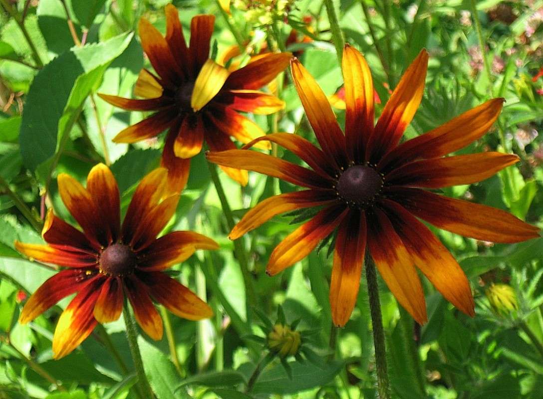 ������������ �� ������... ����� Natali  ��������� �� PhotoGeek.ru #������ ��� ������� #����� ��������������