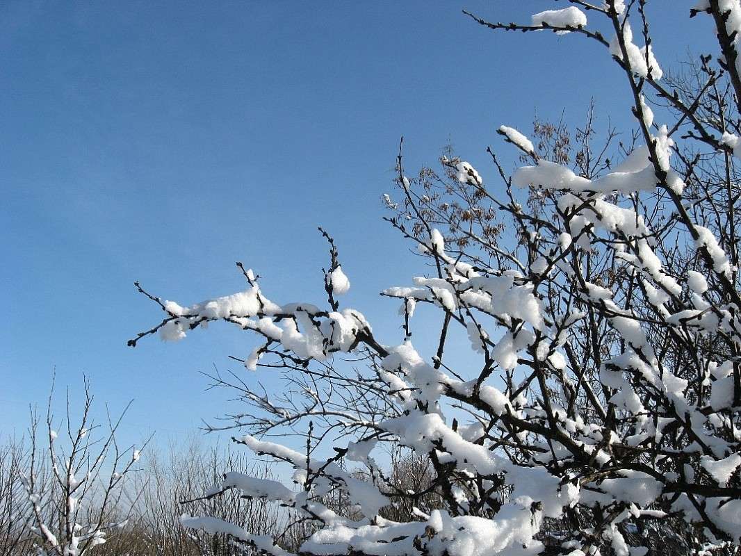 � ������ ��������� ����� ����� Natali  ��������� �� PhotoGeek.ru #������ ��� ������� #����� ��������������