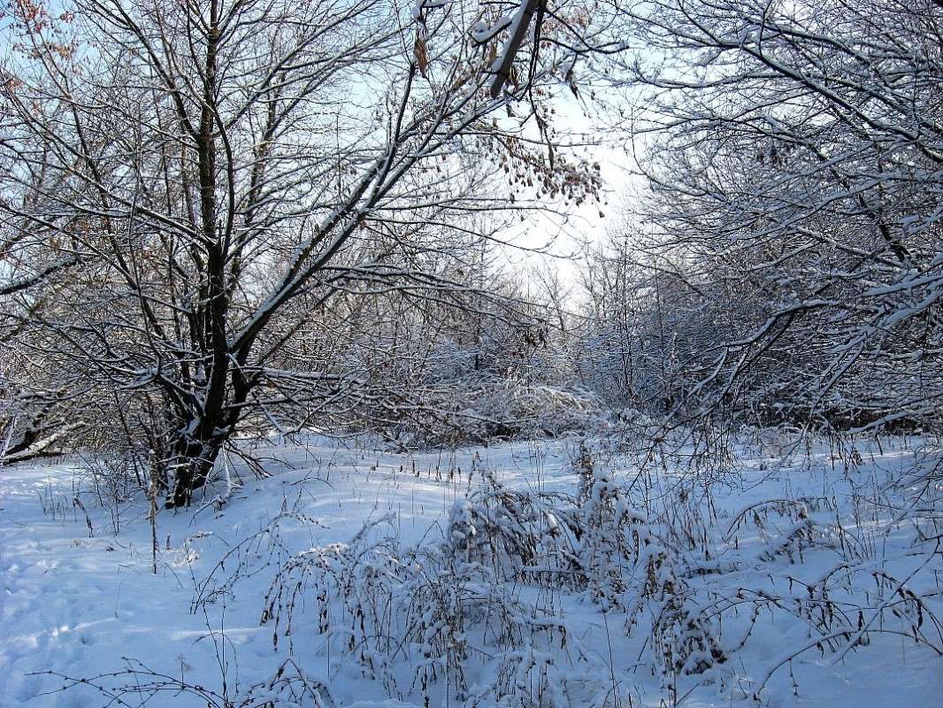 ���� �������� �������...) ����� Natali  ��������� �� PhotoGeek.ru #������ ��� ������� #����� ��������������