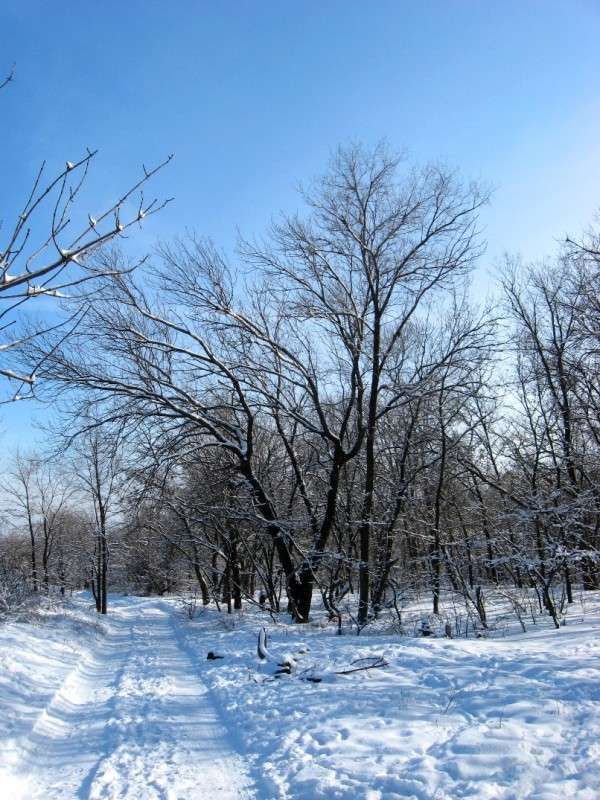 ... ����� Natali  ��������� �� PhotoGeek.ru #������ ��� ������� #����� ��������������