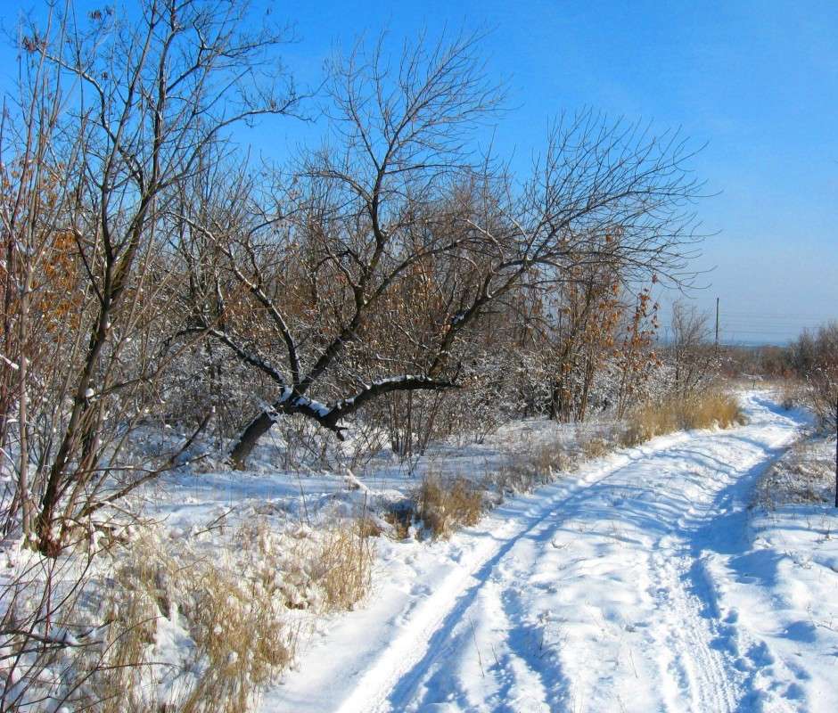 ������ �� ����, ���� �� ����� ..... ����� Natali  ��������� �� PhotoGeek.ru #������ ��� ������� #����� ��������������