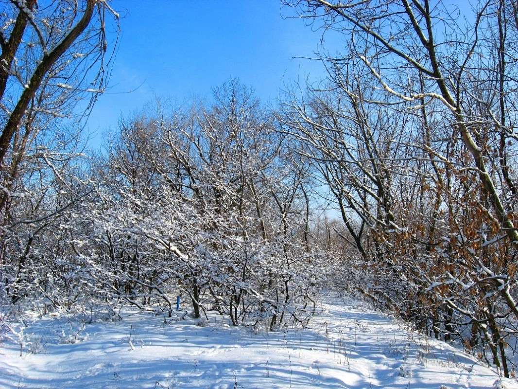 ������ ����...) ����� Natali  ��������� �� PhotoGeek.ru #������ ��� ������� #����� ��������������