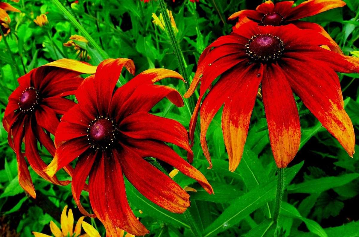 ... ����� Natali  ��������� �� PhotoGeek.ru #������ ��� ������� #����� ��������������