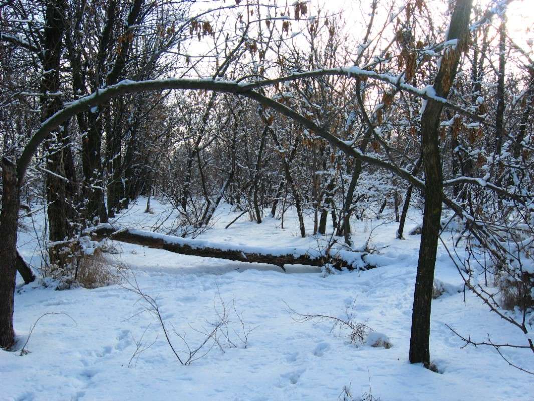 ... ����� Natali  ��������� �� PhotoGeek.ru #������ ��� ������� #����� ��������������