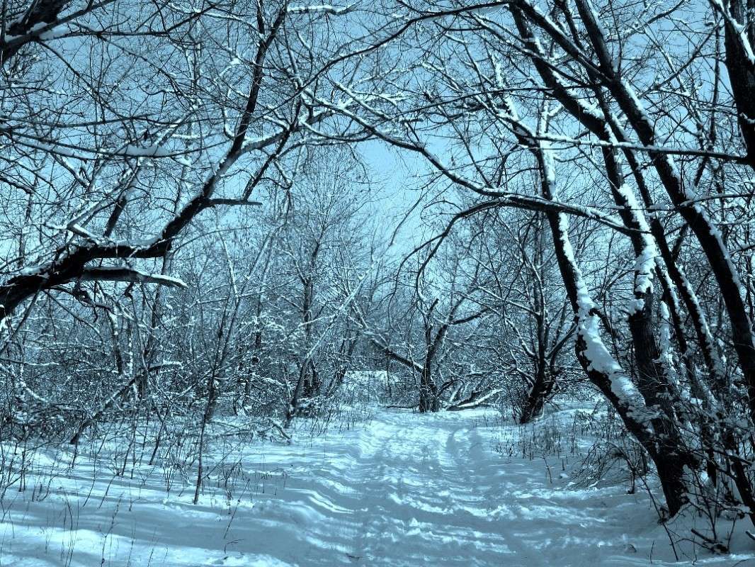 ������ ������� ����� Natali  ��������� �� PhotoGeek.ru #������ ��� ������� #����� ��������������