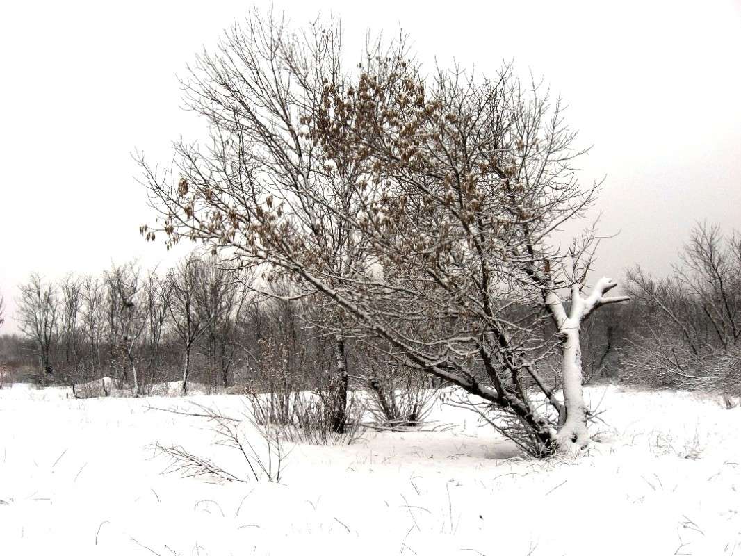 ����� ���... ) ����� Natali  ��������� �� PhotoGeek.ru #������ ��� ������� #����� ��������������