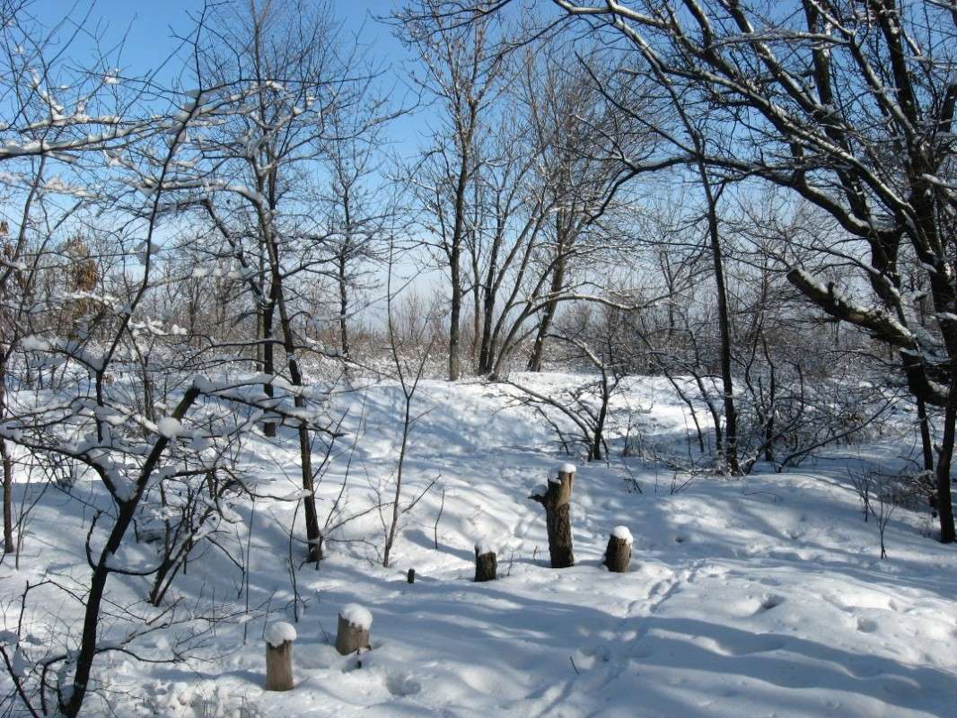 ... ����� Natali  ��������� �� PhotoGeek.ru #������ ��� �������