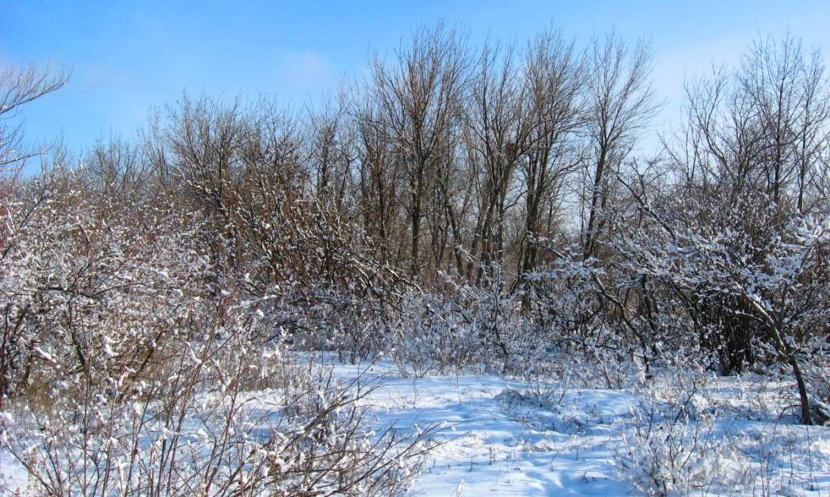 ... ����� Natali  ��������� �� PhotoGeek.ru #������ ��� ������� #����� ��������������