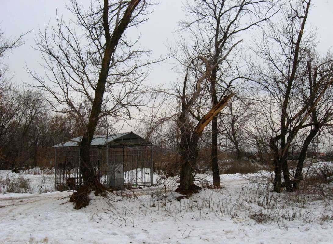 � �������� ����� ����� Natali  ��������� �� PhotoGeek.ru #������ ��� �������