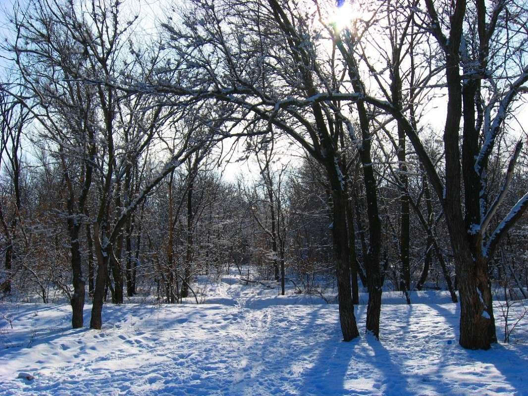 ... ����� Natali  ��������� �� PhotoGeek.ru #������ ��� ������� #����� ��������������