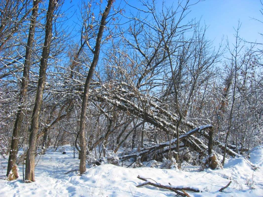 ���� ��� �������...) ����� Natali  ��������� �� PhotoGeek.ru #������ ��� ������� #����� ��������������