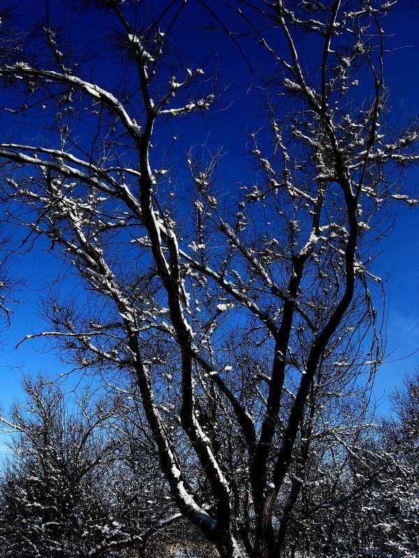 ���� � ����� �����...) ����� Natali  ��������� �� PhotoGeek.ru #������ ��� ������� #����� ��������������