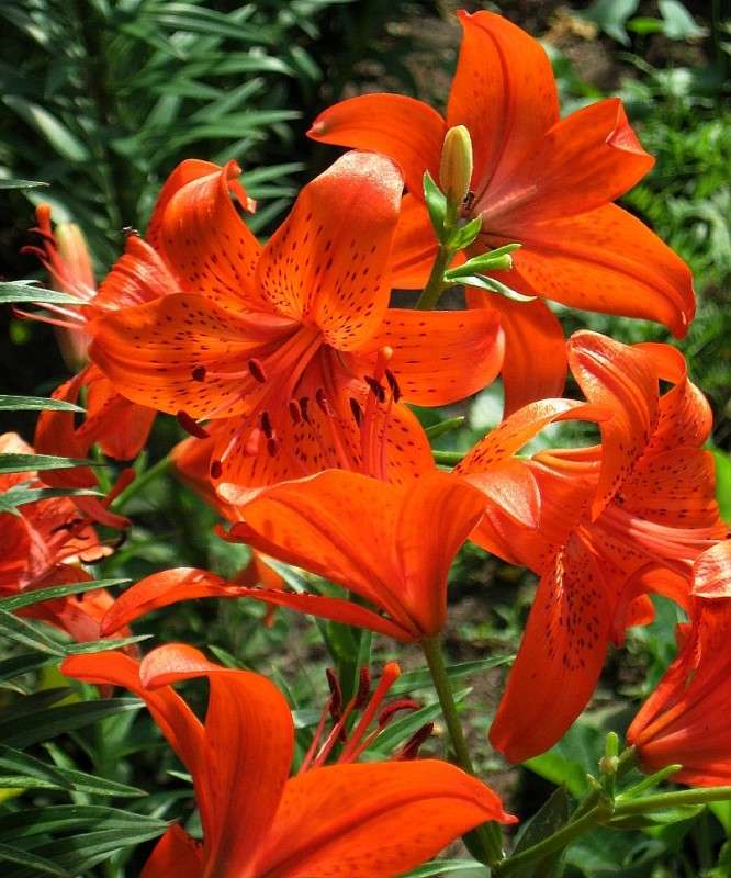 ����...2 ����� Natali  ��������� �� PhotoGeek.ru #������ ��� ������� #����� ��������������