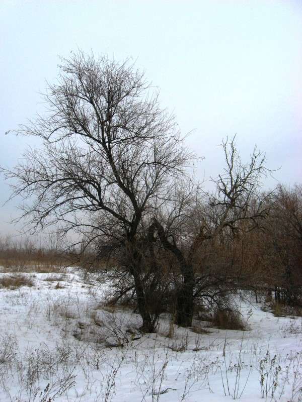 � �������� �����...2 ����� Natali  ��������� �� PhotoGeek.ru #������ ��� ������� #����� ��������