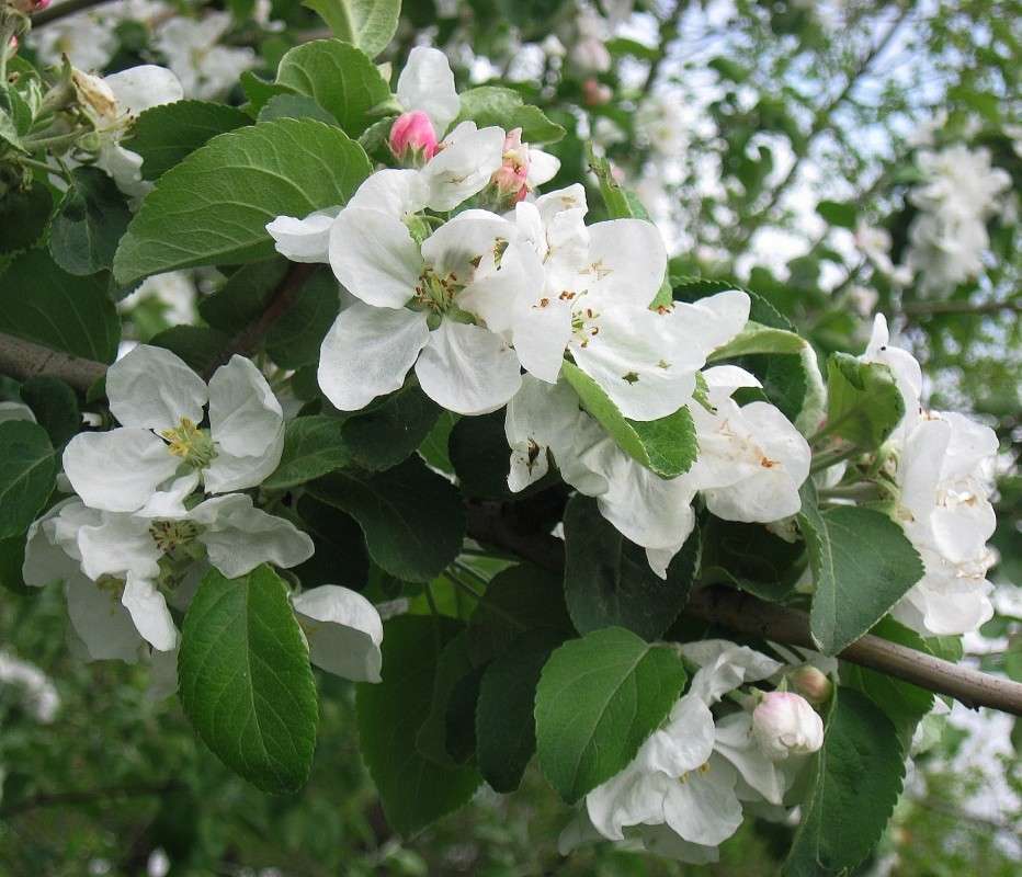 �� �����...) ����� Natali  ��������� �� PhotoGeek.ru #������ ��� ������� #����� ��������������