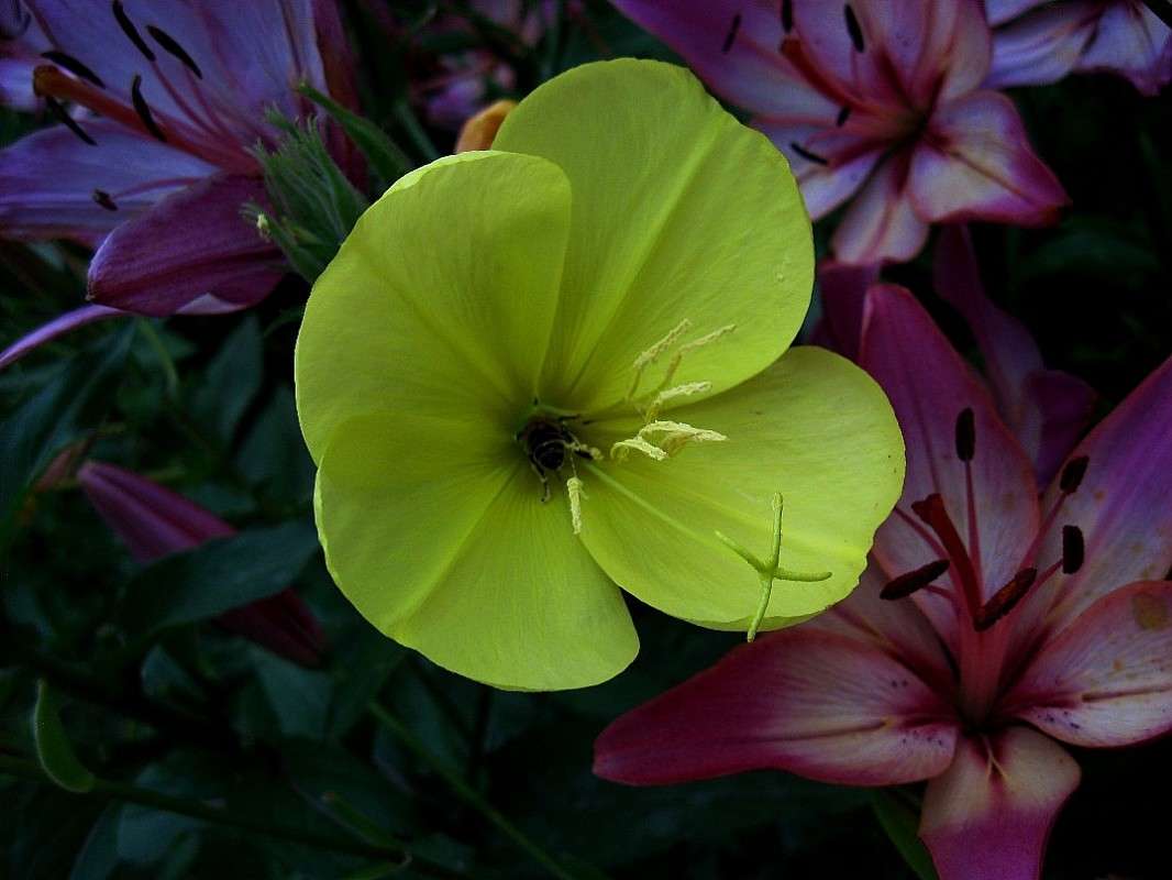 ... ����� Natali  ��������� �� PhotoGeek.ru #������ ��� ������� #����� ��������������